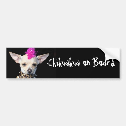 Chihuahua aan boord bumpersticker (Voorkant)