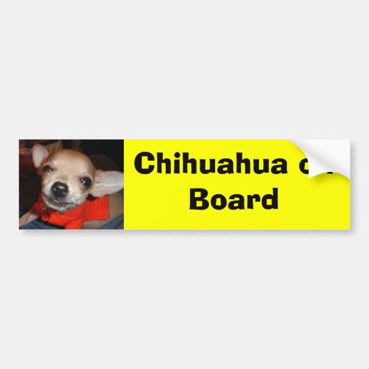 Chihuahua aan boord bumpersticker (Voorkant)