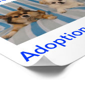 Chihuahua Adoption Today Sign Poster (Hoek)