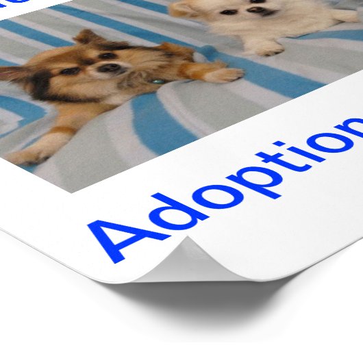 Chihuahua Adoption Today Sign Poster (Hoek)