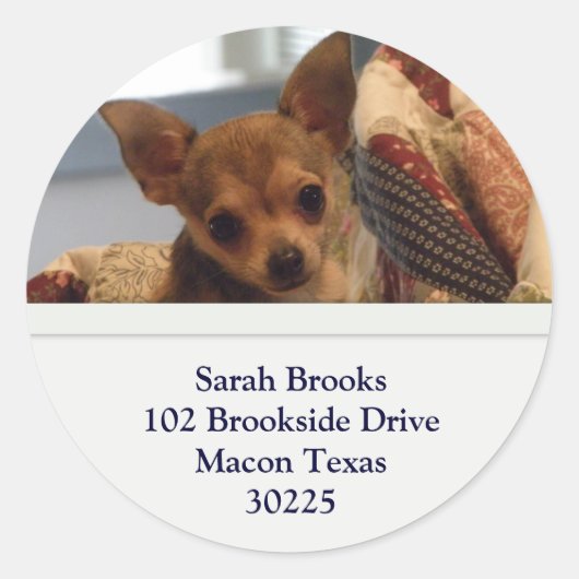 Chihuahua Adres Stickers (Voorkant)