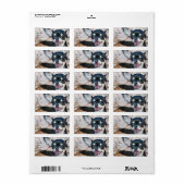 Chihuahua adreslabels etiket (Full Sheet)