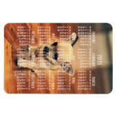 Chihuahua Agenda 2018 Foto Magneet 4x6 Groot (Horizontaal)