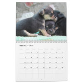 Chihuahua Agenda 2026 Love Your Chi Voeg Foto Toe Kalender (Feb 2026)