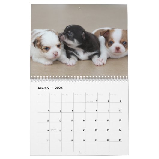 Chihuahua Agenda 2026 Love Your Chi Voeg Foto Toe Kalender (Jan 2026)