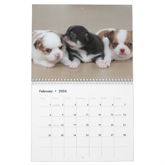 Chihuahua Agenda 2026 Voeg Jouw Foto's Toe Kalender (Feb 2026)