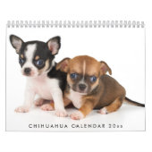 Chihuahua Agenda 2026 Voeg Jouw Foto's Toe Kalender (Hoes)