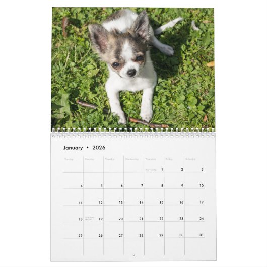 Chihuahua Agenda 2026 Voeg Jouw Foto's Toe Kalender (Jan 2026)