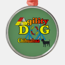 Chihuahua Agility
