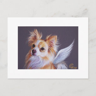 Chihuahua Angel Briefkaart