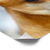 Chihuahua Baby Foto Afdruk (Hoek)