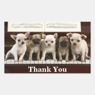 Chihuahua Bedankt Puppy Honden ( Chewawa Chiwawa ) Rechthoekige Sticker