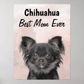 Chihuahua Best Mam Poster (Voorkant)