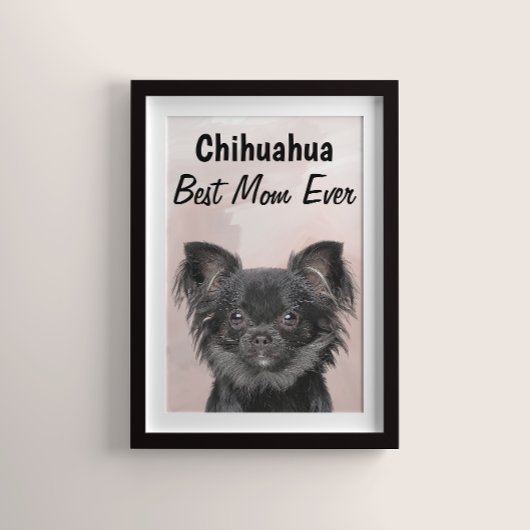 Chihuahua Best Mam Poster