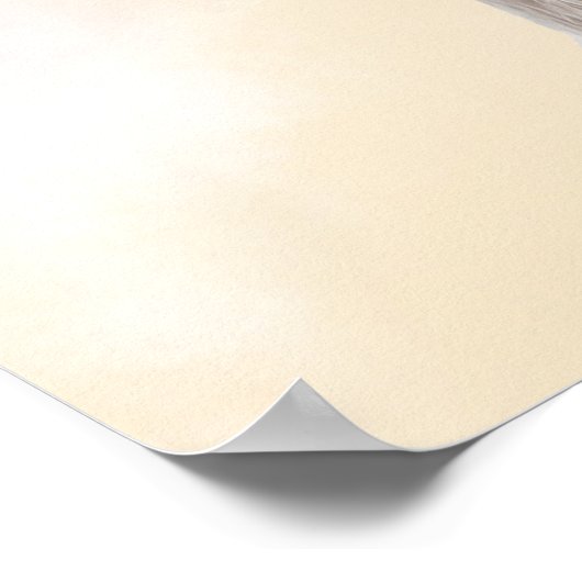 Chihuahua Best Mam Poster (Hoek)