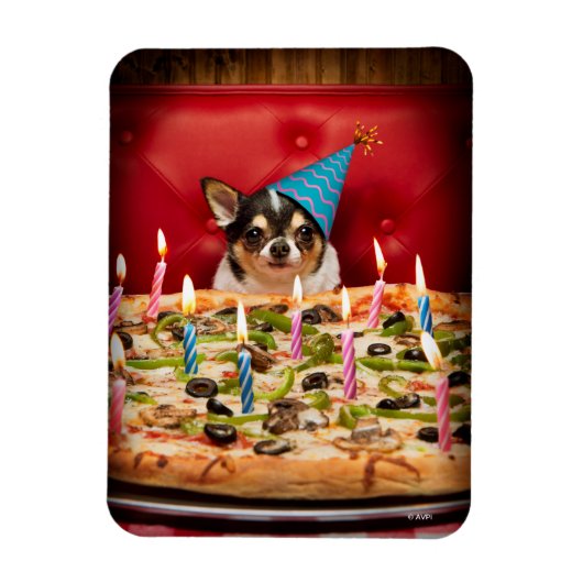 Chihuahua Birthday Pizza Pie Magneet (Verticaal)