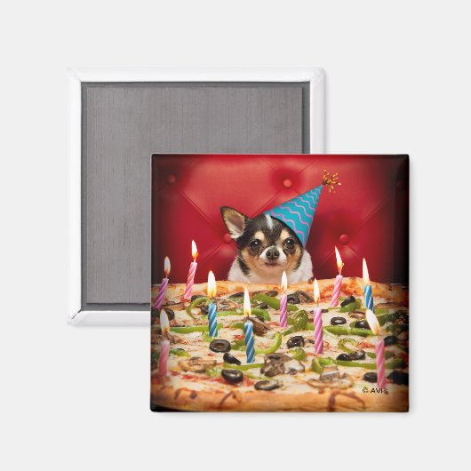 Chihuahua Birthday Pizza Pie Magneet (Voorkant / Achterkant)