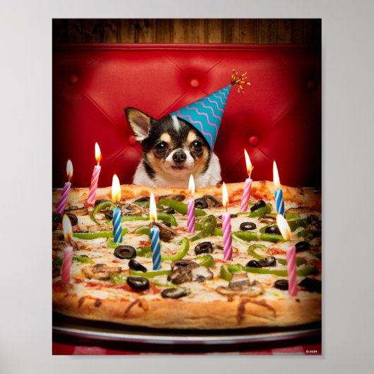 Chihuahua Birthday Pizza Pie Poster (Voorkant)