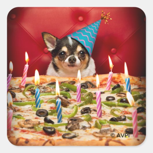 Chihuahua Birthday Pizza Pie Vierkante Sticker (Voorkant)