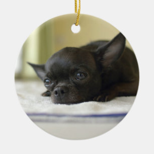 chihuahua black keramisch ornament