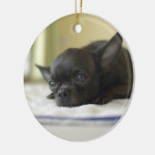 chihuahua black keramisch ornament (Links)
