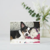 Chihuahua Blah Briefkaart (Staand voorkant)