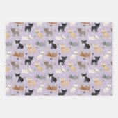 Chihuahua Botten en Paws Gray Blue Paars Inpakpapier Vel (Voorkant 3)