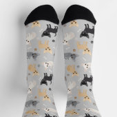 Chihuahua Botten en poten Sokken (Top)