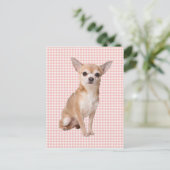 Chihuahua Briefkaart (Staand voorkant)