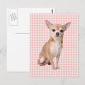 Chihuahua Briefkaart (Voorkant / Achterkant)