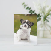 Chihuahua Briefkaart (Staand voorkant)