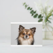 chihuahua briefkaart (Staand voorkant)