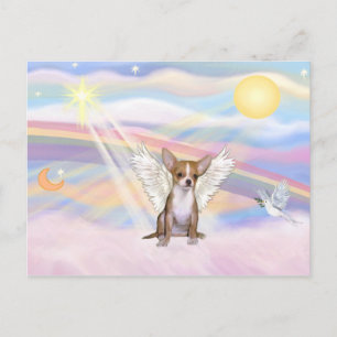 Chihuahua Briefkaart