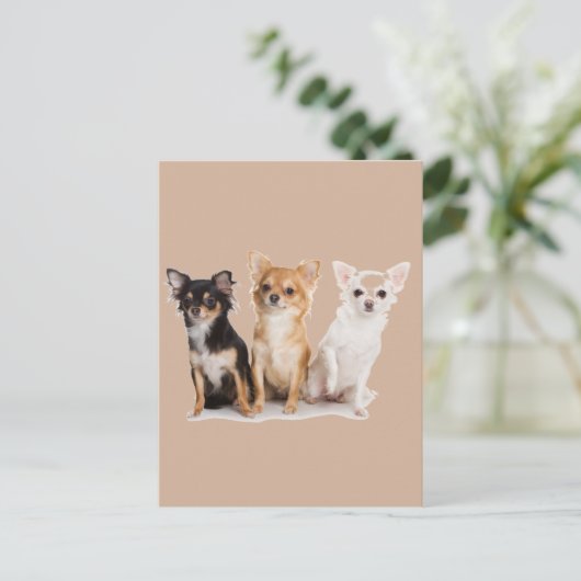 CHIHUAHUA BRIEFKAART (Staand voorkant)
