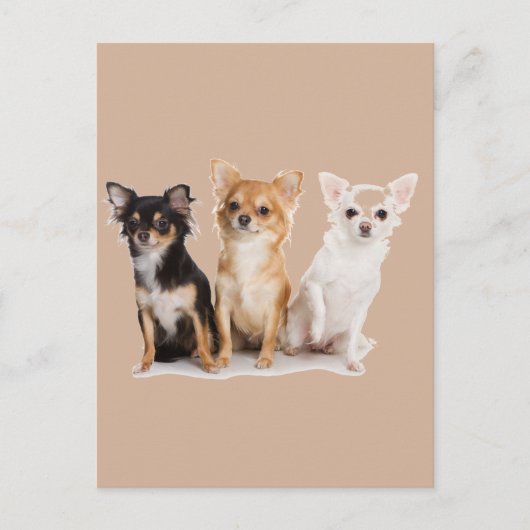 CHIHUAHUA BRIEFKAART (Voorkant)