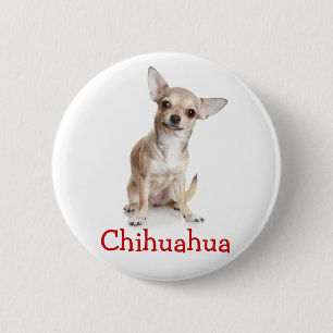Chihuahua bruine en witte puppy hond ronde button 5,7 cm