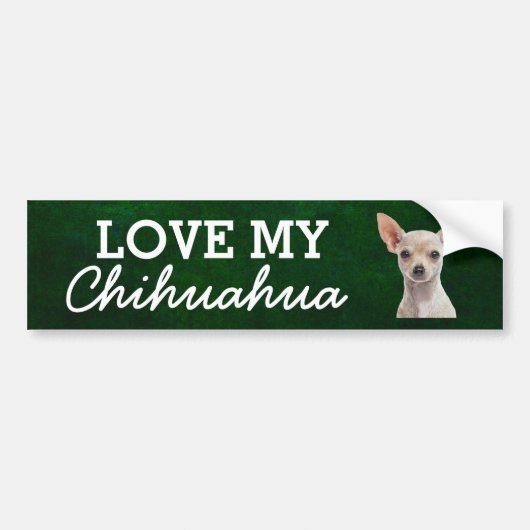 Chihuahua bumper sticker (Voorkant)