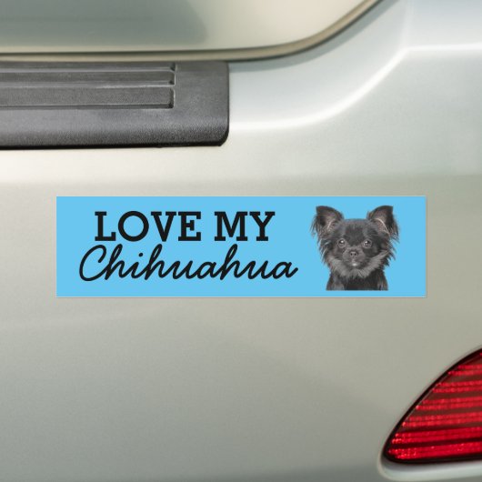 Chihuahua bumper sticker (Op auto)