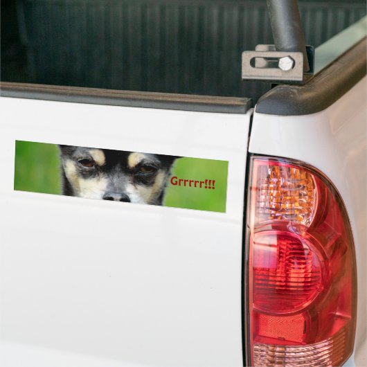 Chihuahua! Bumpersticker (Op Truck)