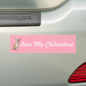 Chihuahua Bumpersticker (Op auto)