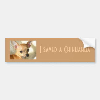 Chihuahua Bumpersticker