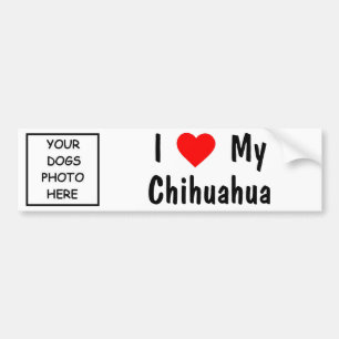 Chihuahua Bumpersticker