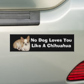 Chihuahua Bumpersticker (Op auto)