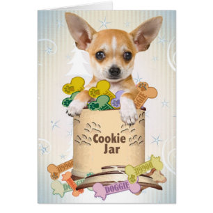 Chihuahua Busted Cards