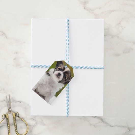 Chihuahua Cadeaulabel (Met Touw)