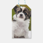 Chihuahua Cadeaulabel (Voorkant)