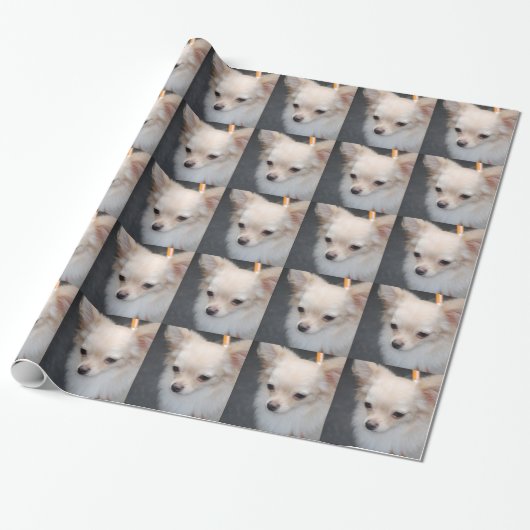 Chihuahua Cadeaupapier (Uitgerold)