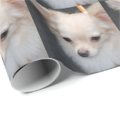 Chihuahua Cadeaupapier (Rol Hoek)