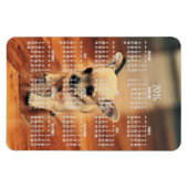 Chihuahua Calendar 2016 Photo Magnet 4x6 Large Magneet (Horizontaal)