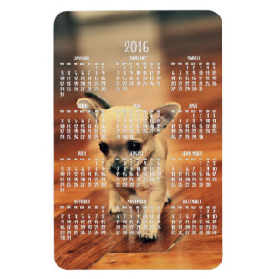 Chihuahua Calendar 2016 Photo Magnet 4x6 Large Magneet